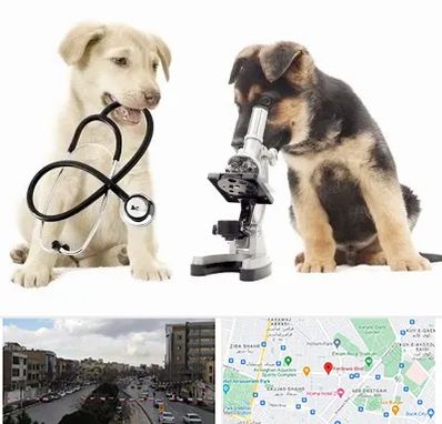 آزمایشگاه دامپزشکی در بلوار فردوسی مشهد