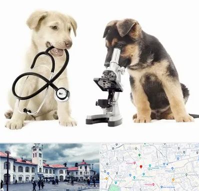 آزمایشگاه دامپزشکی در میدان شهرداری رشت