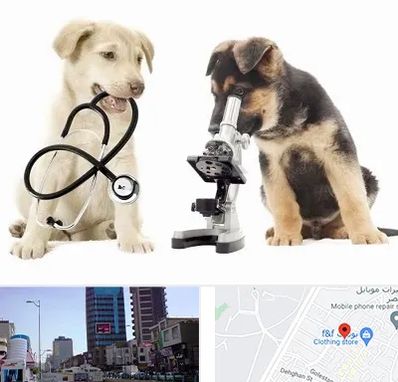 آزمایشگاه دامپزشکی در چهارراه طالقانی کرج
