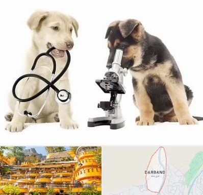 آزمایشگاه دامپزشکی در دربند
