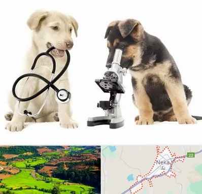 آزمایشگاه دامپزشکی در نکا