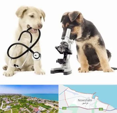 آزمایشگاه دامپزشکی در نوشهر