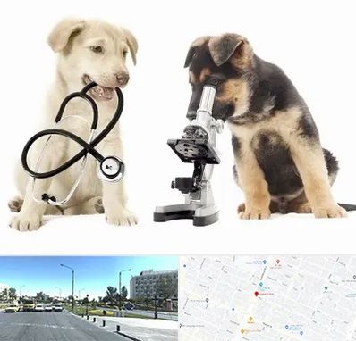 آزمایشگاه دامپزشکی در بلوار کلاهدوز مشهد