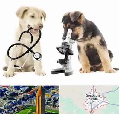 آزمایشگاه دامپزشکی در گنبد کاووس