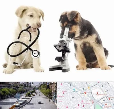 آزمایشگاه دامپزشکی در خیابان زند شیراز
