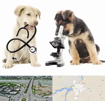 آزمایشگاه دامپزشکی در میاندوآب