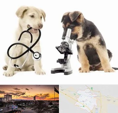 آزمایشگاه دامپزشکی در قوچان