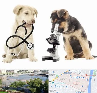 آزمایشگاه دامپزشکی در گلستان اهواز