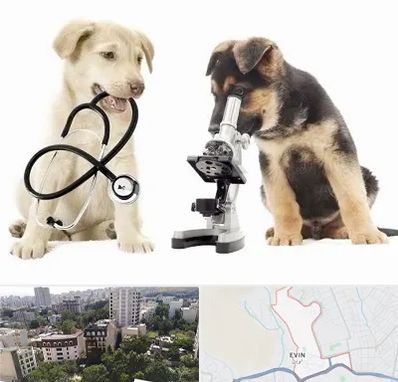 آزمایشگاه دامپزشکی در اوین