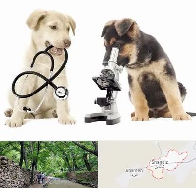 آزمایشگاه دامپزشکی در شاندیز مشهد
