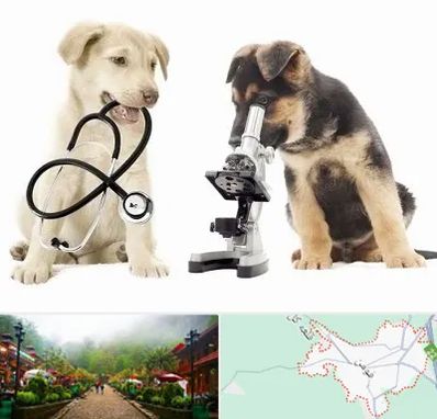 آزمایشگاه دامپزشکی در فومن