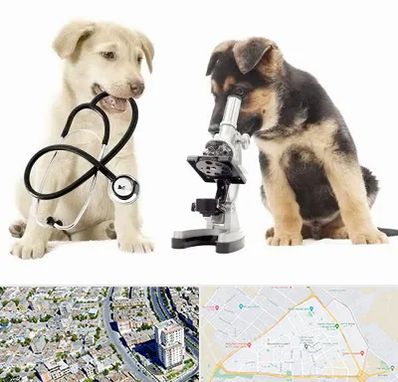 آزمایشگاه دامپزشکی در قاسم آباد مشهد