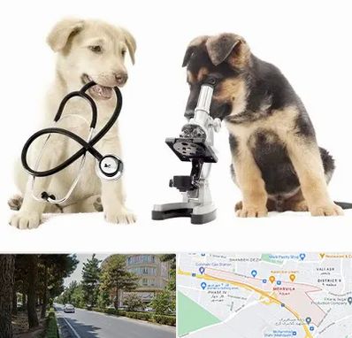 آزمایشگاه دامپزشکی در مهرویلا کرج