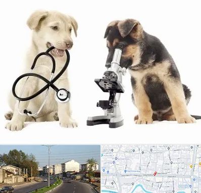 آزمایشگاه دامپزشکی در ضیابری رشت