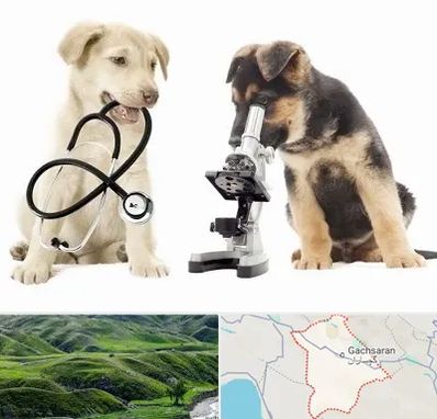 آزمایشگاه دامپزشکی در گچساران