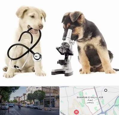 آزمایشگاه دامپزشکی در شهرک ولیعصر