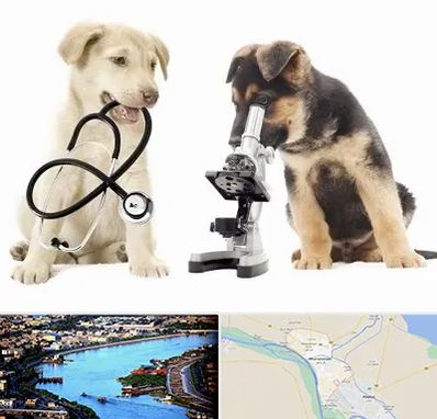 آزمایشگاه دامپزشکی در خرمشهر