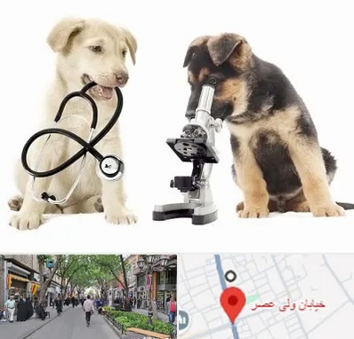 آزمایشگاه دامپزشکی در ولیعصر شهریار
