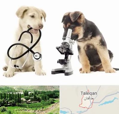 آزمایشگاه دامپزشکی در طالقان