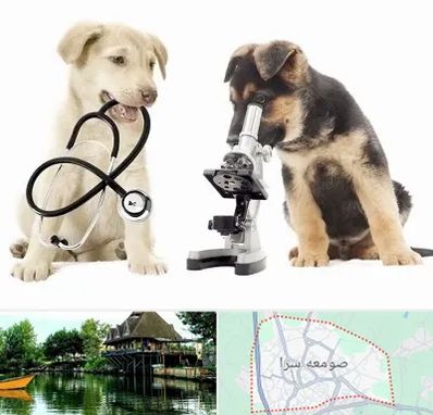 آزمایشگاه دامپزشکی در صومعه سرا