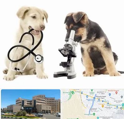 آزمایشگاه دامپزشکی در صیاد شیرازی مشهد