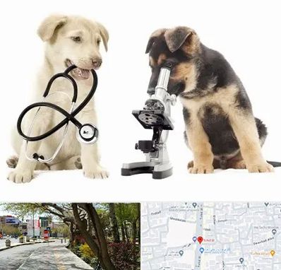 آزمایشگاه دامپزشکی در خیابان توحید اصفهان