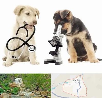آزمایشگاه دامپزشکی در کردان