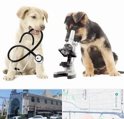آزمایشگاه دامپزشکی در بلوار ابوذر