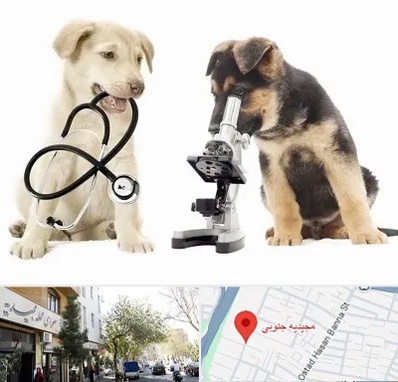 آزمایشگاه دامپزشکی در مجیدیه جنوبی
