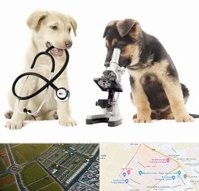 آزمایشگاه دامپزشکی در الهیه مشهد