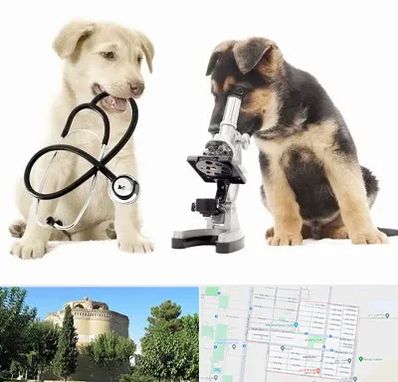 آزمایشگاه دامپزشکی در مرداویج اصفهان