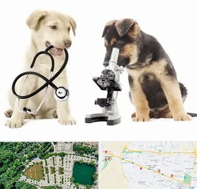 آزمایشگاه دامپزشکی در وکیل آباد مشهد