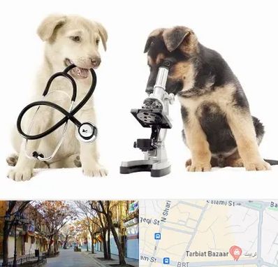 آزمایشگاه دامپزشکی در تربیت تبریز