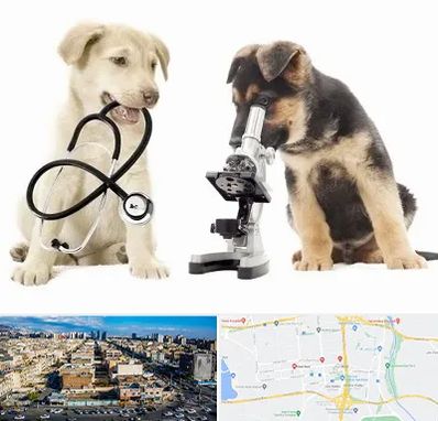 آزمایشگاه دامپزشکی در شهرک راه آهن