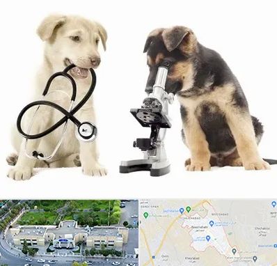 آزمایشگاه دامپزشکی در نسیم شهر