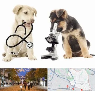 آزمایشگاه دامپزشکی در ولیعصر ارومیه