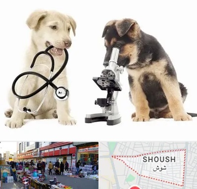 آزمایشگاه دامپزشکی در شوش