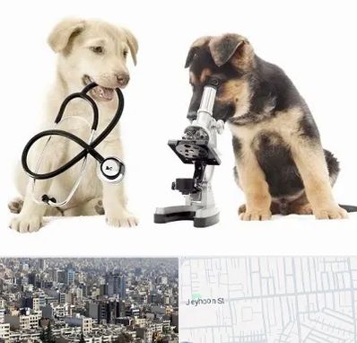 آزمایشگاه دامپزشکی در جیحون