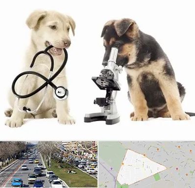 آزمایشگاه دامپزشکی در احمدآباد مشهد