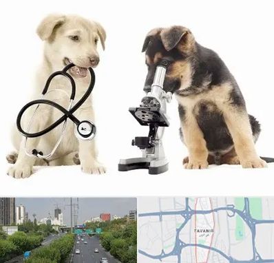 آزمایشگاه دامپزشکی در توانیر
