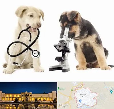 آزمایشگاه دامپزشکی در برازجان