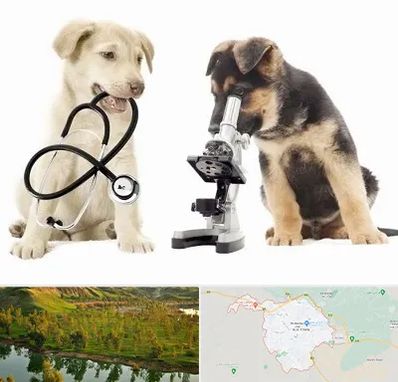 آزمایشگاه دامپزشکی در بهبهان