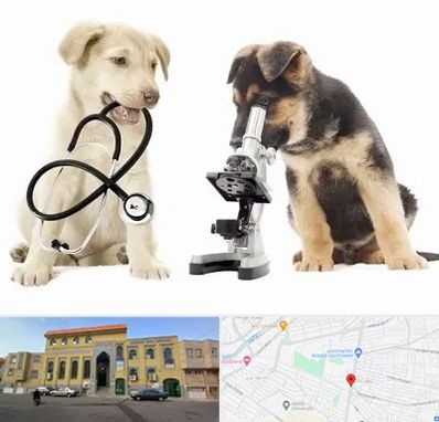 آزمایشگاه دامپزشکی در زنبیل آباد قم