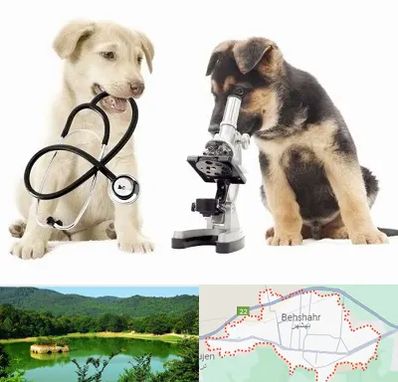 آزمایشگاه دامپزشکی در بهشهر