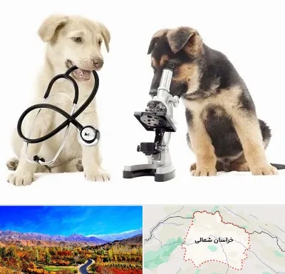 آزمایشگاه دامپزشکی در خراسان شمالی