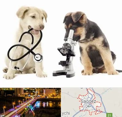 آزمایشگاه دامپزشکی در سقز