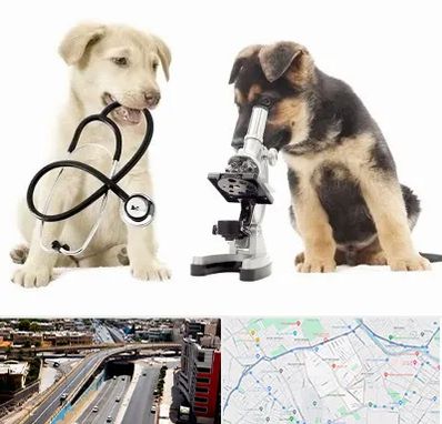 آزمایشگاه دامپزشکی در ستارخان شیراز