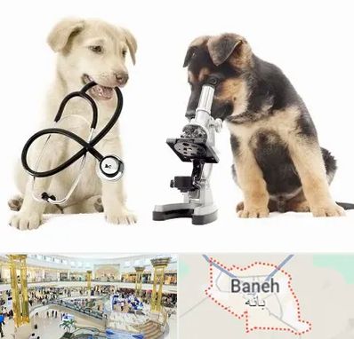 آزمایشگاه دامپزشکی در بانه