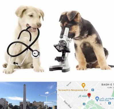 آزمایشگاه دامپزشکی در فلکه گاز شیراز