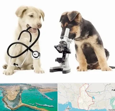 آزمایشگاه دامپزشکی در سیستان و بلوچستان
